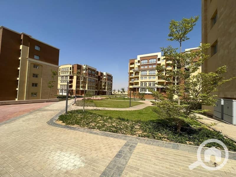 5 IMG-20260111-WA0017. jpg