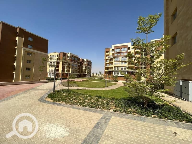 6 IMG-20260111-WA0017. jpg