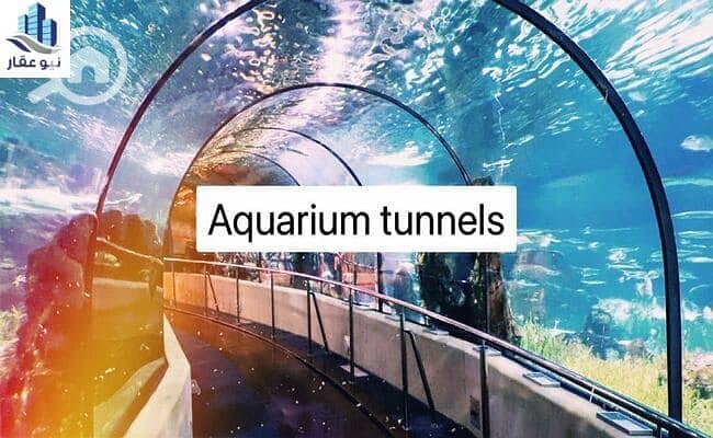 33 WhatsApp-Image-2021-11-27-at-12.05. 56-PM. jpeg