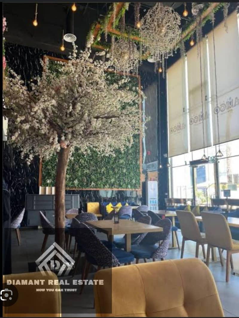 5 WhatsApp Image 2025-08-22 at 1.00. 22 AM. jpeg