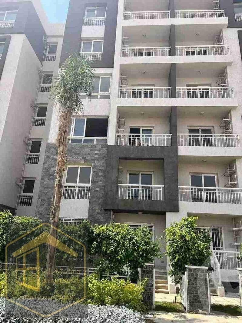 172038. webp 172038. webp