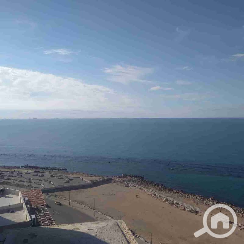 1000202225. jpg 1000202225. jpg