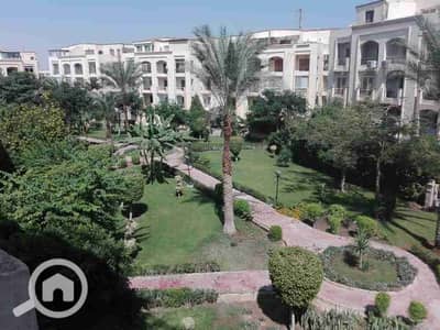 3 Bedroom Apartment for Rent in Sheikh Zayed, Giza - 211326. jpg 3 Bedroom Apartment for Rent in Sheikh Zayed, Giza - 211326. jpg