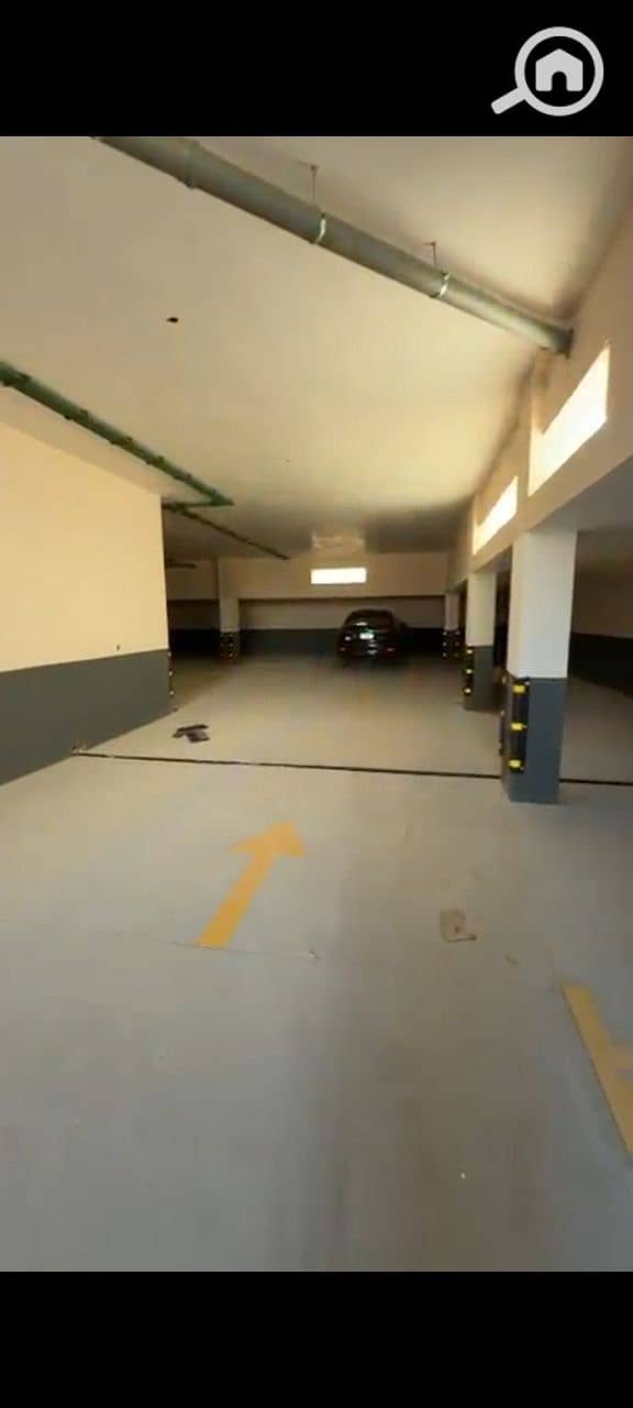 5 photo_2026-01-12_02-13-17. jpg