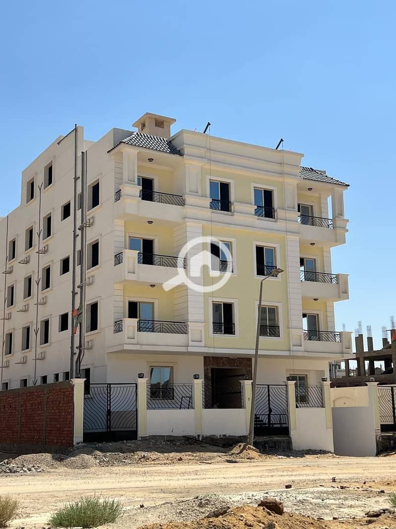 9 photo_2026-01-12_02-13-03. jpg