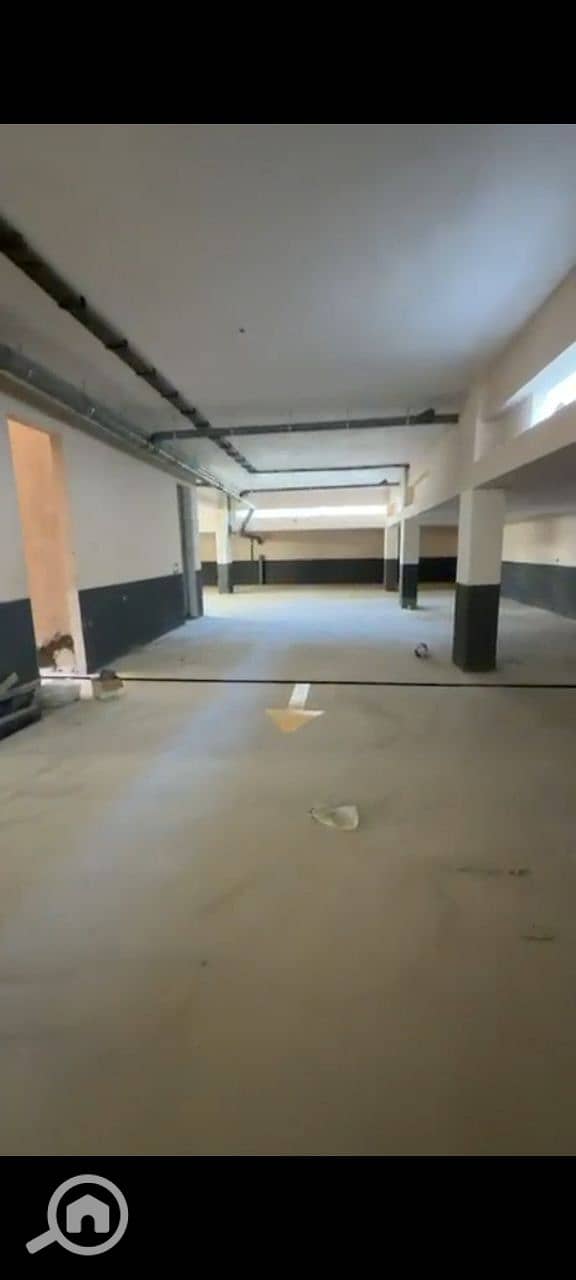 7 photo_2026-01-12_02-13-12. jpg