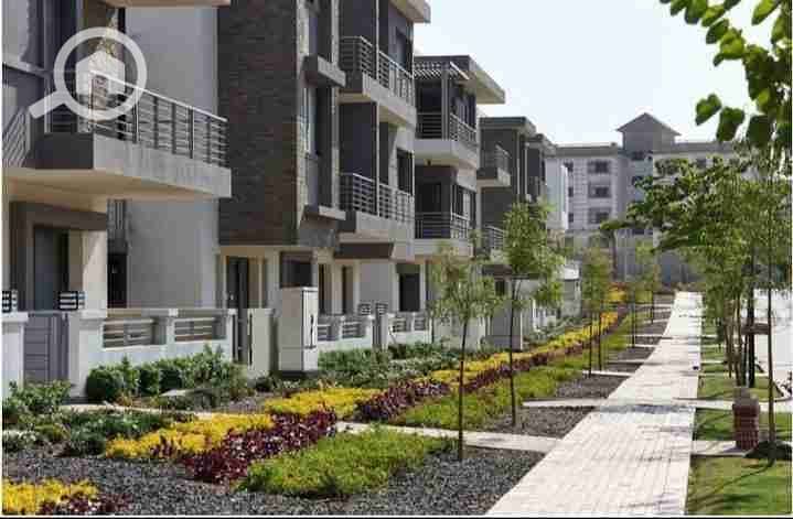 17 IMG-20251202-WA0104. jpg