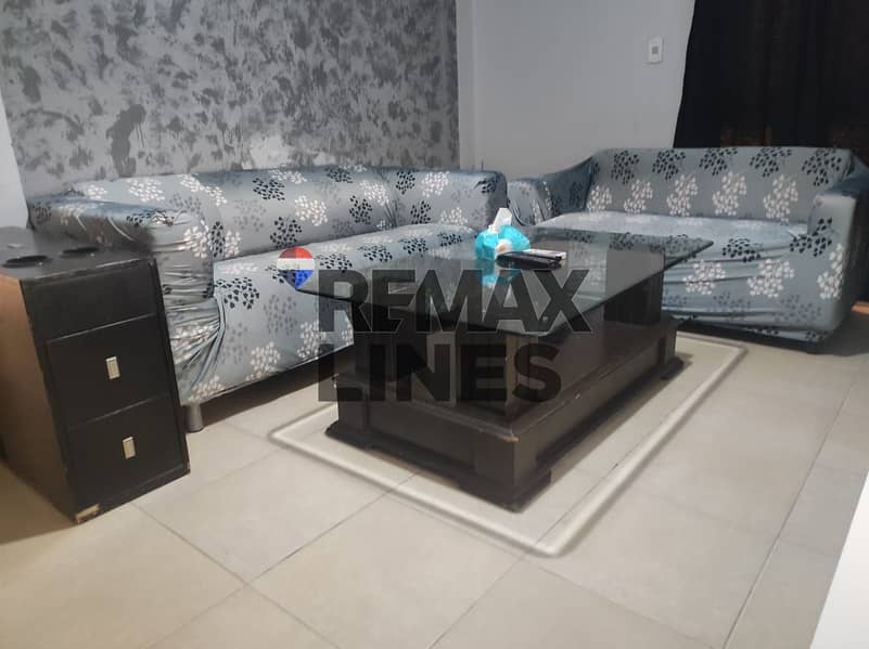 3 WhatsApp Image 2026-01-10 at 11.50. 56 AM. jpeg