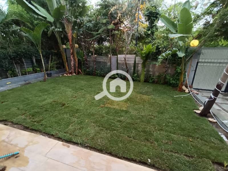 7 12087c62-485a-4063-a72a-d12dbb3641f3. jpeg