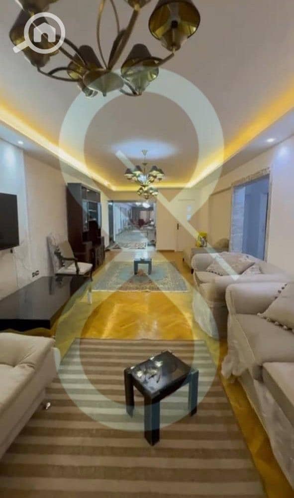 3 PHOTO-2026-01-11-17-59-41. jpeg