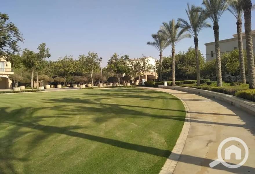 7 8317947-41293o. jpg