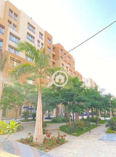 19 Screenshot_14. jpg