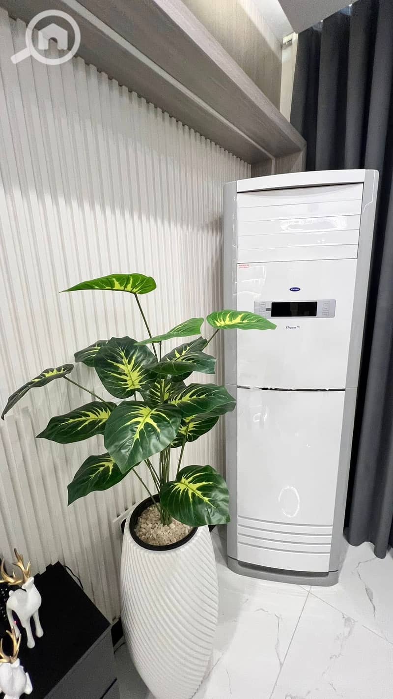 23 614944467_899023159485881_2184510210139533147_n. jpg