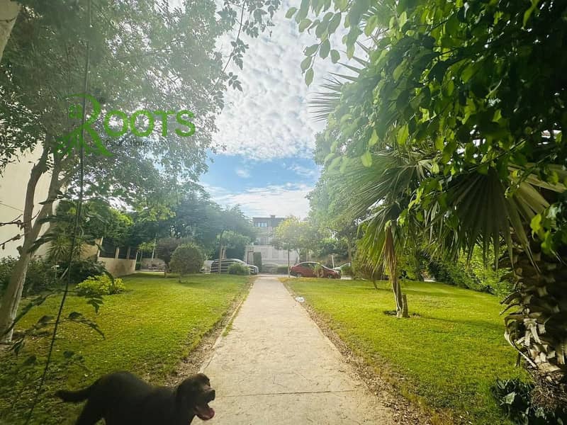 2 WhatsApp Image 2024-08-04 at 11.28. 48 AM (1). jpeg