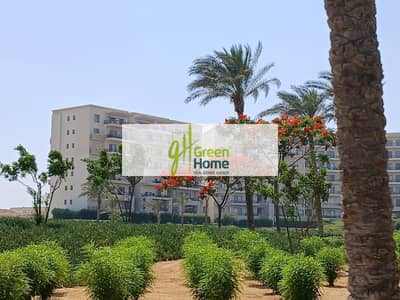 فلیٹ 3 غرف نوم للبيع في المقطم، القاهرة - d7086e27-30bf-40df-a873-d8ffe89c6fe7. jpg