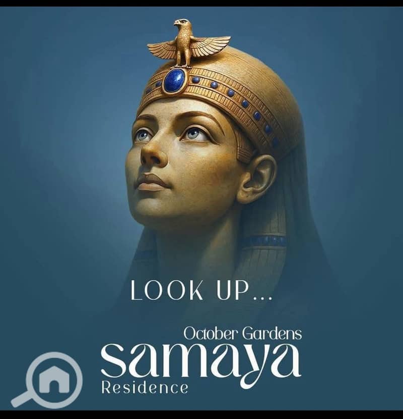 8 6b8a7ddf-45a3-4a8b-b64f-7ce57ae79f5b. jpg