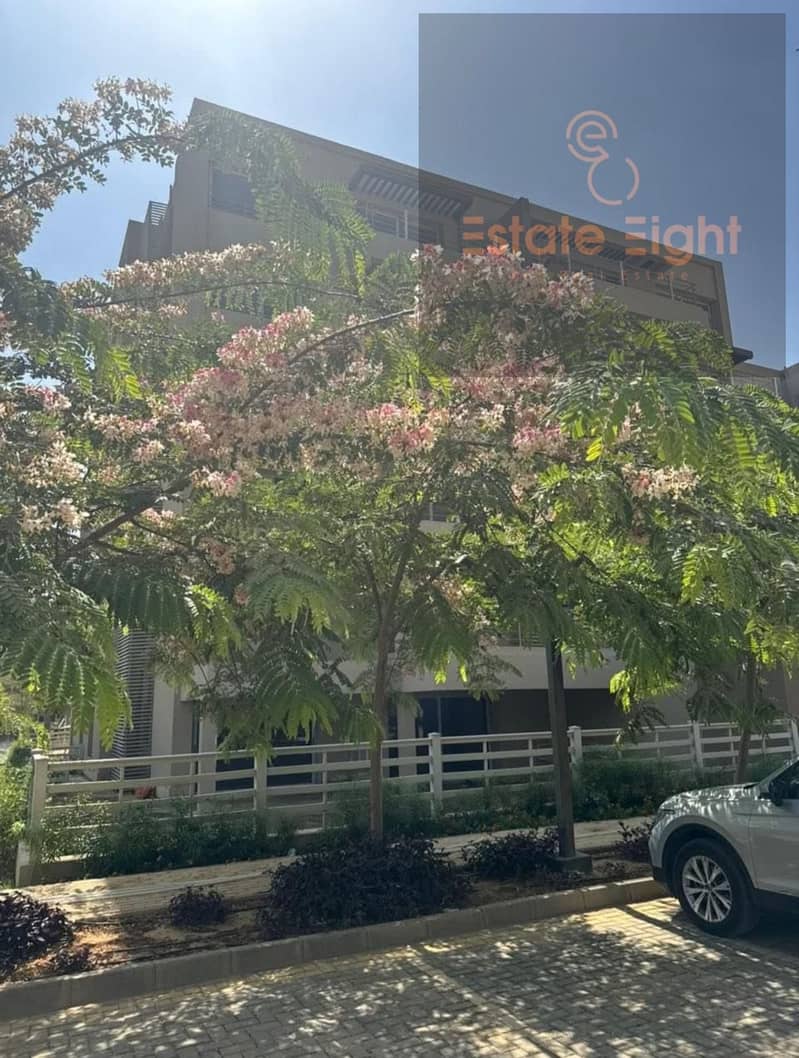 2 WhatsApp Image 2026-01-12 at 11.43. 40 AM (1). jpeg