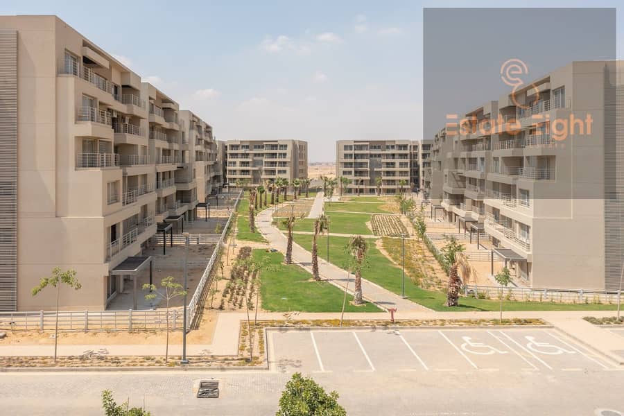 7 d521365a-d215-4e78-8771-541ce2cfdbe5. jpg