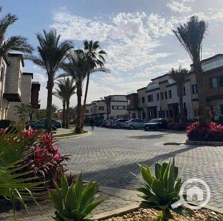 5 Screenshot_15. jpg