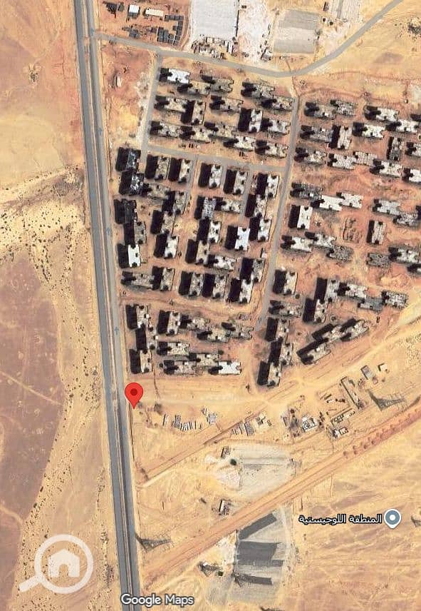 4 44 زهرة العاصمة. PNG