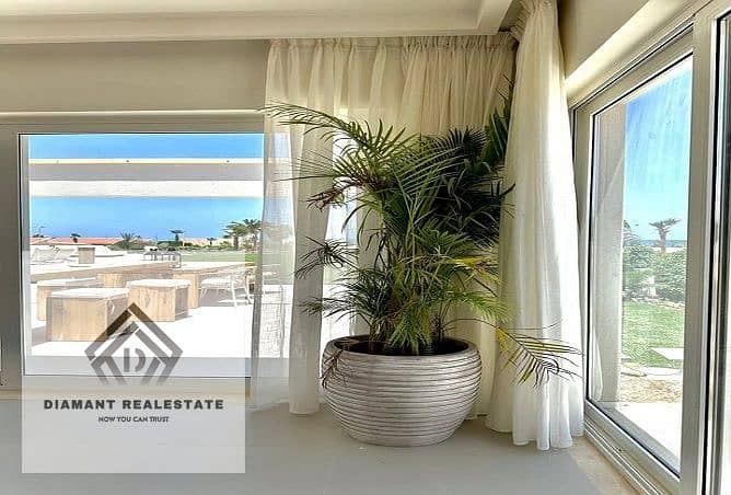 11 487137151_1339988137313368_7878778584125059369_n. jpg