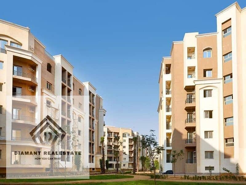 6 d352889b-f901-4913-8dc6-c7604d49f3ad. jpg