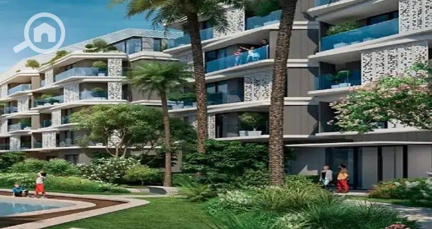 9 بادية-بالم-هيلز. jpg