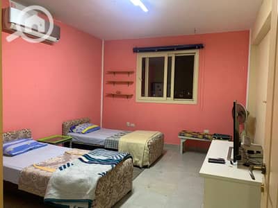 1 Bedroom Apartment for Rent in New Cairo, Cairo - WhatsApp Image 2026-01-12 at 11.46. 18 AM. jpeg