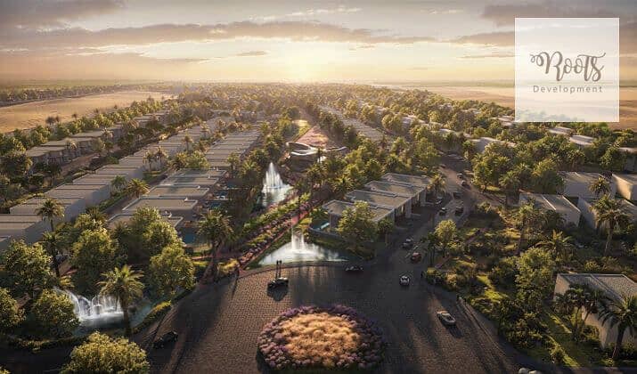 4 Kinz-New-Zayed. jpg