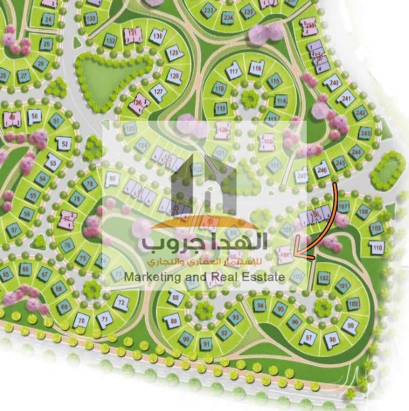 2 eeb58d40-1576-490b-b5f9-927d430611bf. jpg