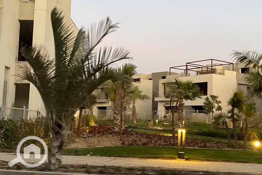 7 Background (2). png