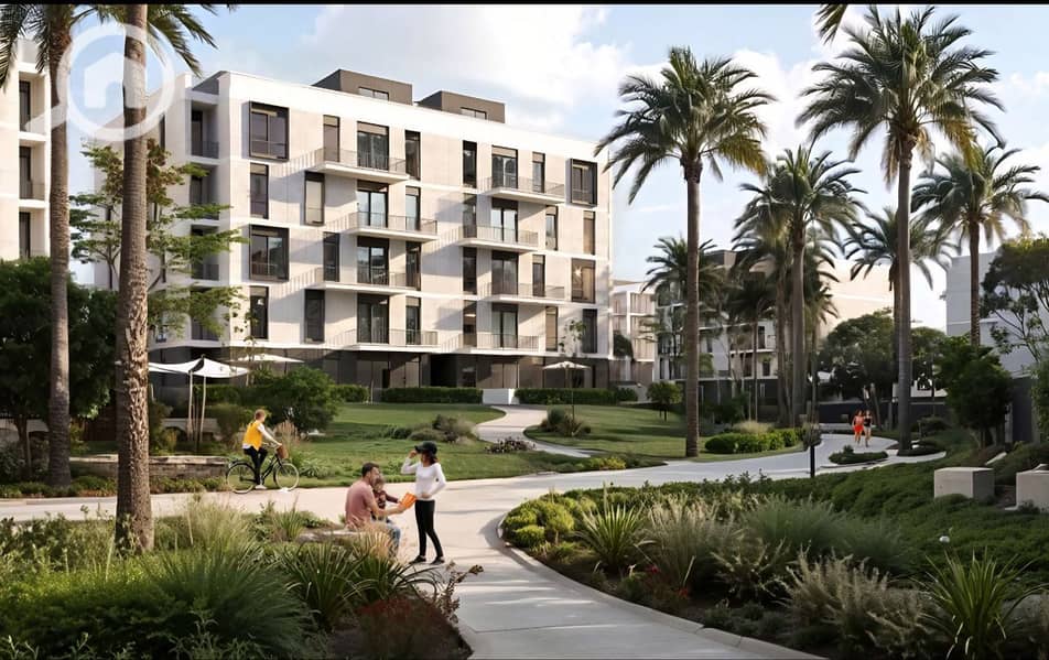 4 photo_5_2026-01-12_13-08-35. jpg