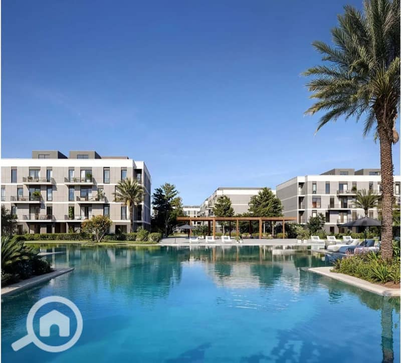 5 photo_2_2026-01-12_13-08-35. jpg