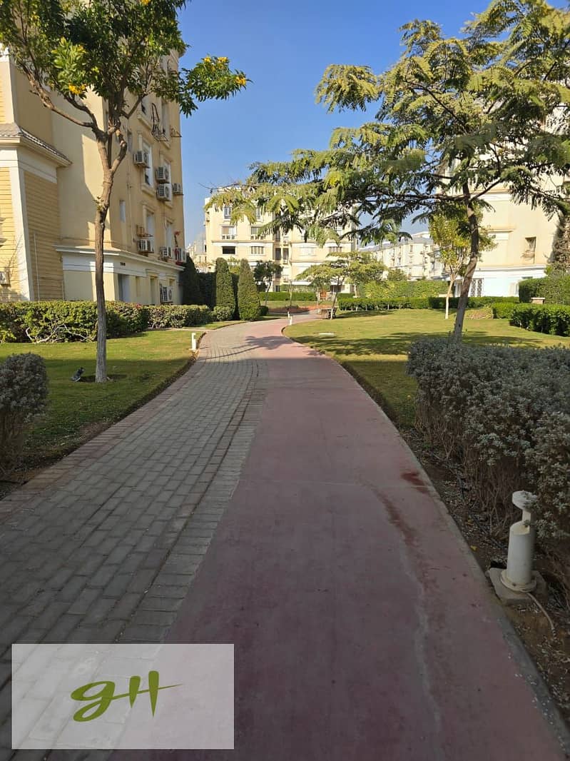 6 079cde5e-bc0b-472c-b463-dd0a536777d1. jpg