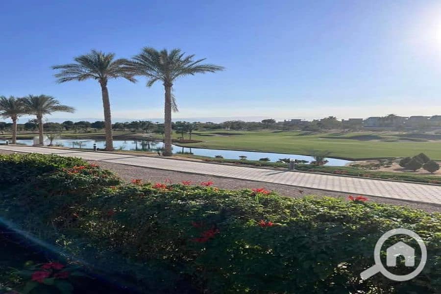 6 FB_IMG_1744108665721_900x600. jpg