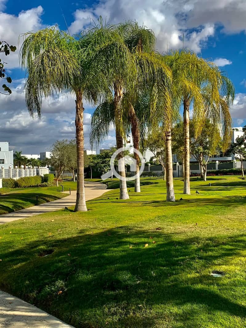 7 FB_IMG_1751897931758. jpg