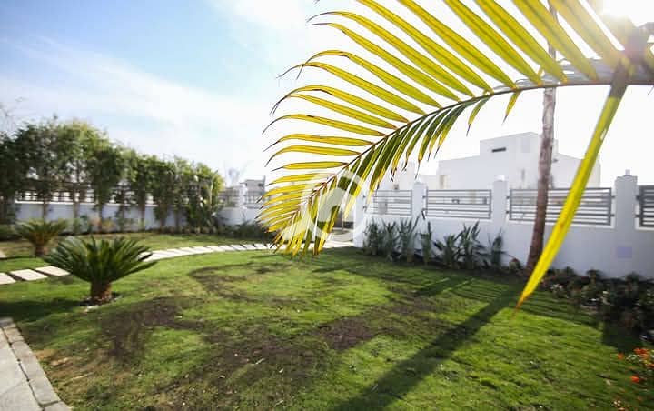 10 FB_IMG_1747484208366. jpg