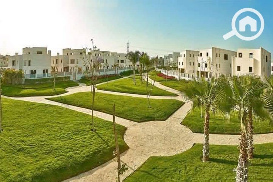 11 FB_IMG_1740236406760_900x600. jpg