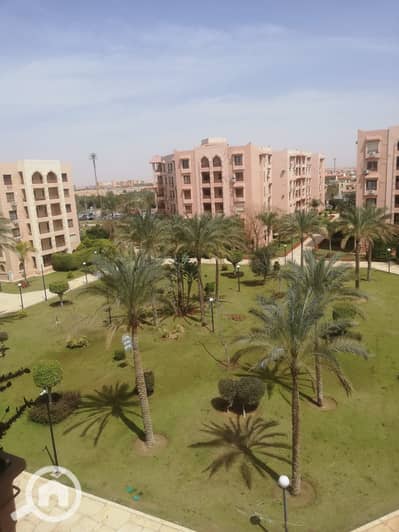 3 Bedroom Flat for Sale in New Cairo, Cairo - WhatsApp_Image_2026-01-11_at_1.31. 55_PM. jpeg