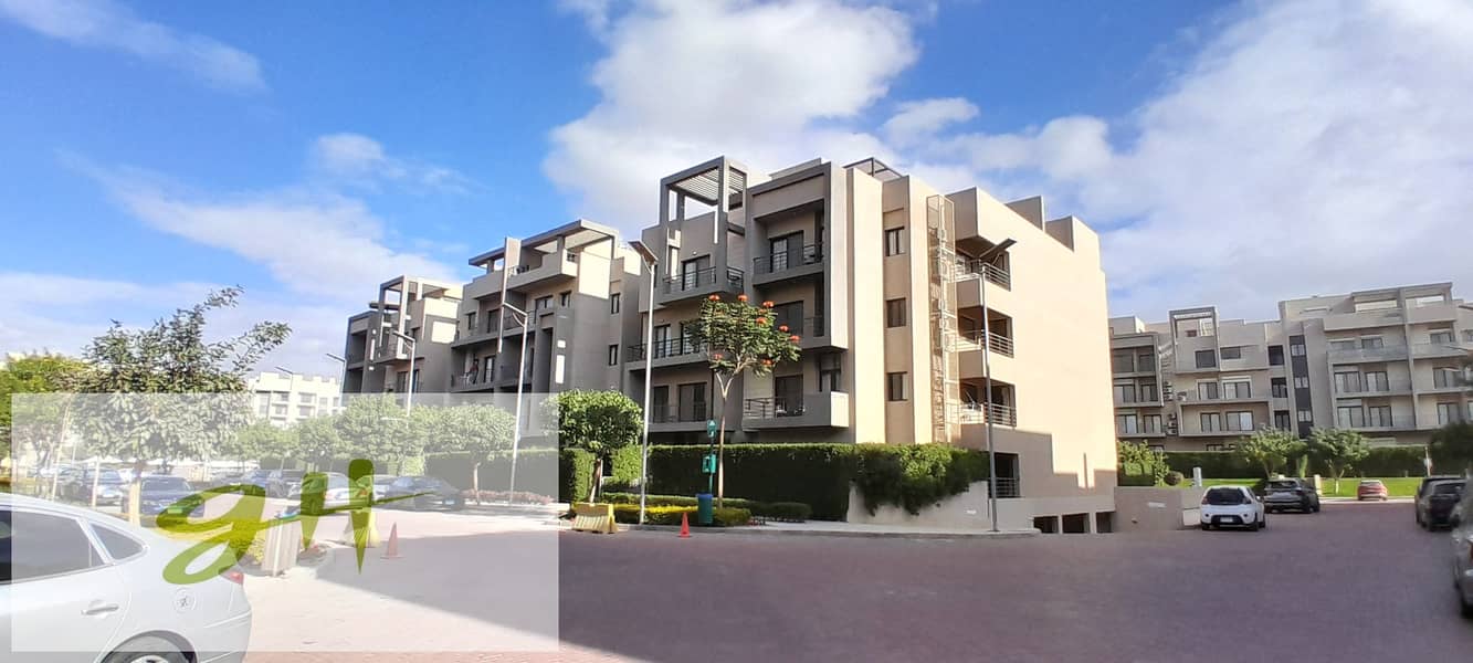 3 20251229_140443. jpg