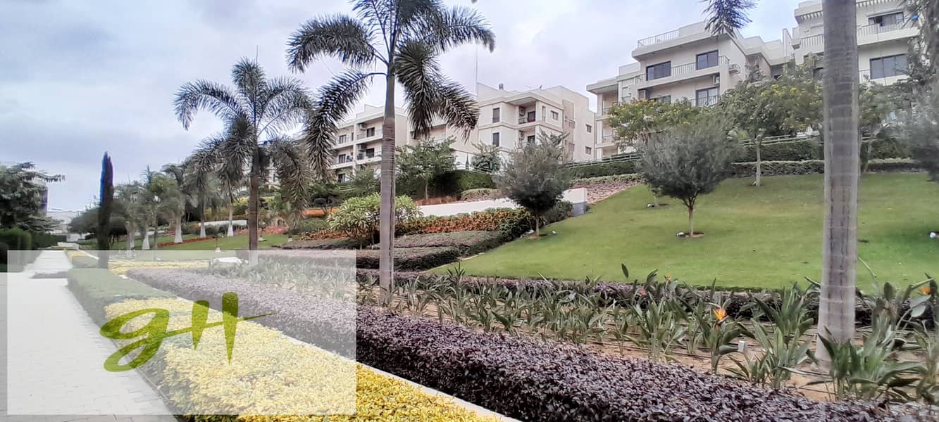 8 20251229_142354. jpg