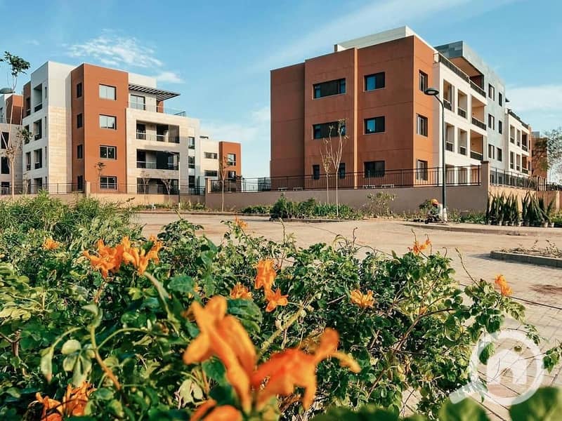 10 WhatsApp Image 2023-10-19 at 14.28. 35_51fb5af2. jpg