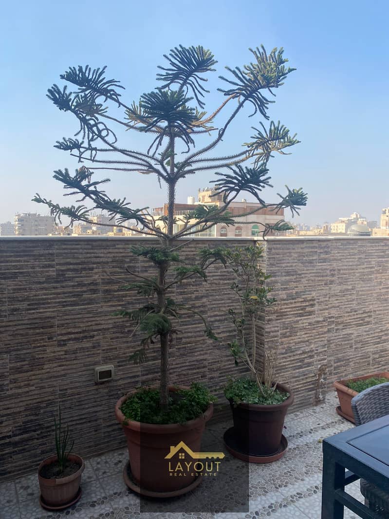 20 20960750-22c8-47f2-a7bf-b10da03d6652. jpg