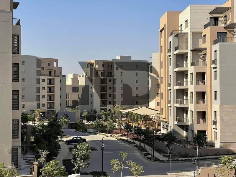 3 571236997_1528900631436123_127391234972085288_n. jpg