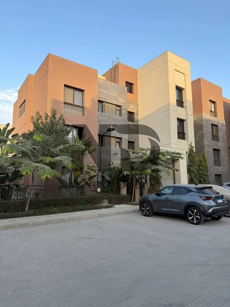 10 611092148_26430057293325298_6851974281156776512_n. jpg