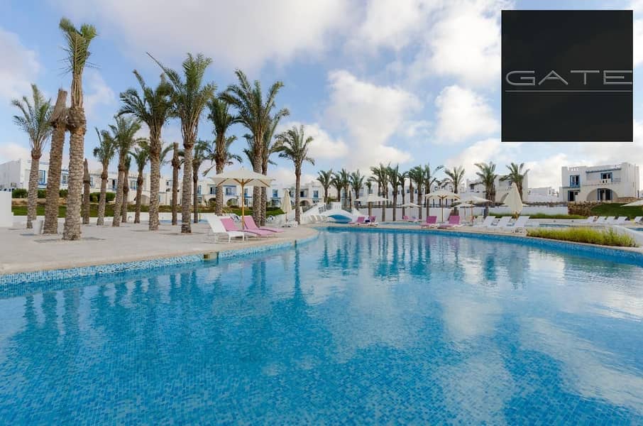 4 IMG-20250809-WA0043. jpg