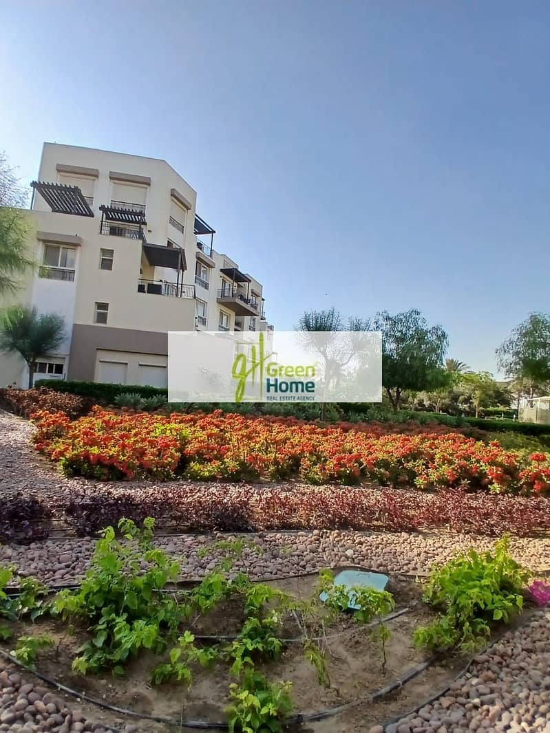 4 1ffebb40-c05c-4ca9-88aa-9ec1d18b3c38. jpg