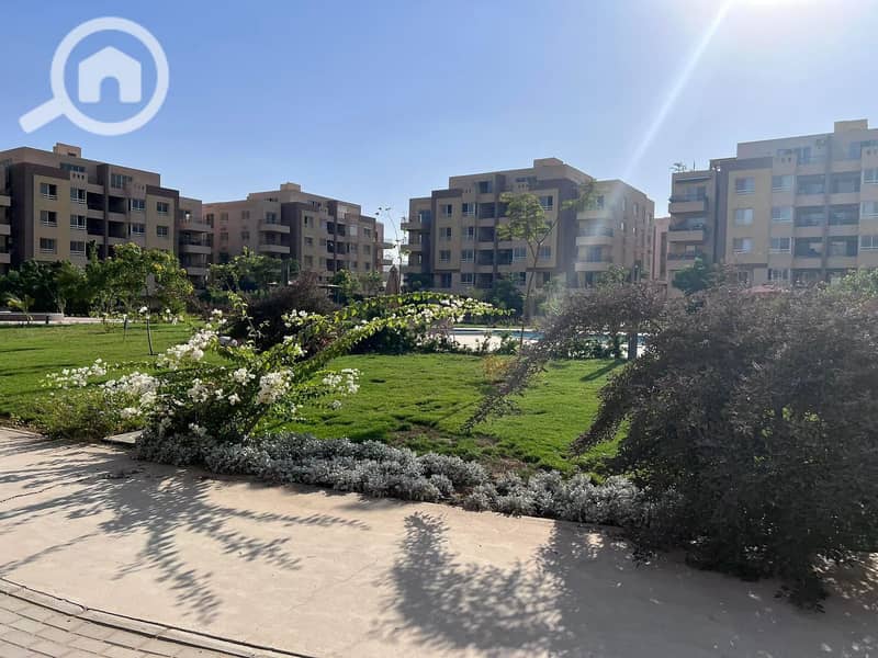 5 cff4a6c1-4104-4106-926b-870151691039. jpg