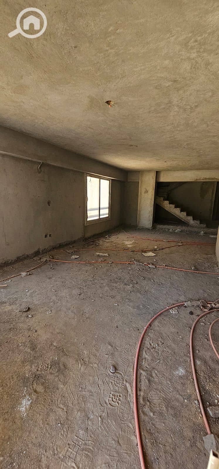 8 53ddc956-1446-4909-812f-2c6fdeaad99d. jpg