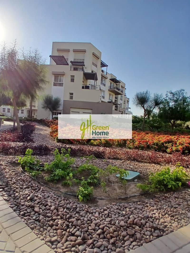 11 6fff84fd-5745-47a7-9e41-d92c25e255f9. jpg